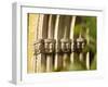 Deutschland, Niederbayern, Landshut, Stadtfriedhof, Romanisches Portal, Detail , Bayern-Thonig-Framed Photographic Print