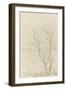 Deux branches d'arbres nues émérgeant d'un feuillage-Pierre Henri de Valenciennes-Framed Giclee Print