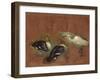 Deux canards et une aigrette garzette-Pieter Boel-Framed Giclee Print