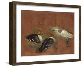 Deux canards et une aigrette garzette-Pieter Boel-Framed Giclee Print