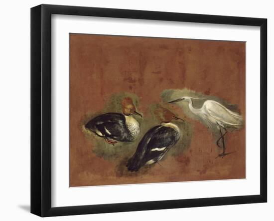 Deux canards et une aigrette garzette-Pieter Boel-Framed Giclee Print