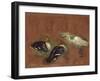 Deux canards et une aigrette garzette-Pieter Boel-Framed Giclee Print