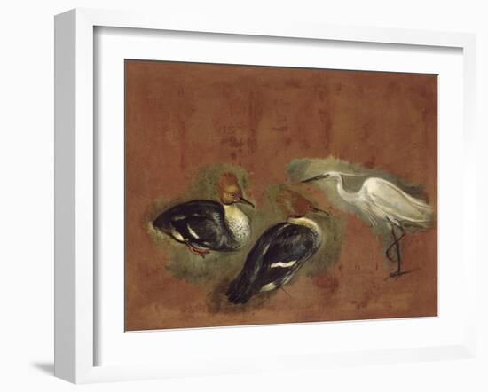 Deux canards et une aigrette garzette-Pieter Boel-Framed Giclee Print