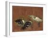 Deux canards et une aigrette garzette-Pieter Boel-Framed Giclee Print