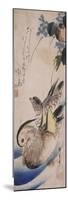 Deux canards nageant-Ando Hiroshige-Mounted Premium Giclee Print