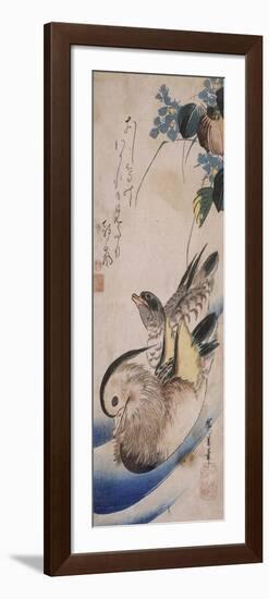 Deux canards nageant-Ando Hiroshige-Framed Giclee Print