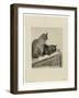 Deux Chats Sur Un Meuble, 1914 (Drypoint & Etching on Beige Rives Laid Paper)-Theophile Alexandre Steinlen-Framed Giclee Print