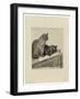 Deux Chats Sur Un Meuble, 1914 (Drypoint & Etching on Beige Rives Laid Paper)-Theophile Alexandre Steinlen-Framed Giclee Print