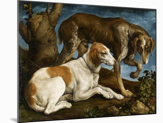 Deux chiens de chasse attachés à une souche-Jacopo Bassano-Mounted Giclee Print