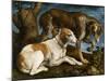 Deux chiens de chasse attachés à une souche-Jacopo Bassano-Mounted Giclee Print