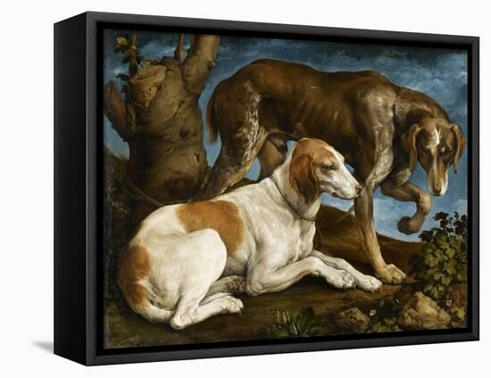 Deux chiens de chasse attachés à une souche-Jacopo Bassano-Framed Stretched Canvas