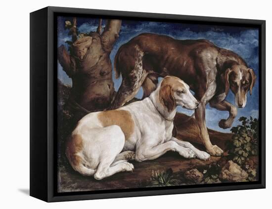 Deux chiens de chasse attachés à une souche-Jacopo Bassano-Framed Stretched Canvas