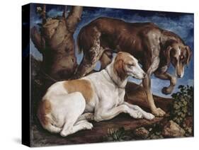 Deux chiens de chasse attachés à une souche-Jacopo Bassano-Stretched Canvas