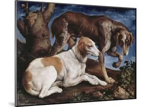 Deux chiens de chasse attachés à une souche-Jacopo Bassano-Mounted Giclee Print