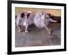 Deux danseuses, c.1879-Edgar Degas-Framed Giclee Print