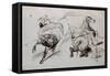 Deux études d'homme nu, l'un attaché à un cheval, l'autre tombant de cheval; croquis pour un-Eugene Delacroix-Framed Stretched Canvas