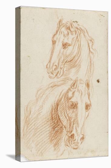 Deux études de tête de cheval-Arnould de Vuez-Stretched Canvas