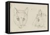Deux études de têtes de chats-Charles Le Brun-Framed Stretched Canvas