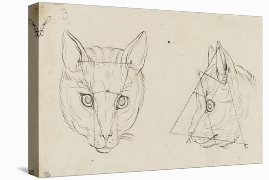 Deux études de têtes de chats-Charles Le Brun-Stretched Canvas