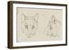 Deux études de têtes de chats-Charles Le Brun-Framed Giclee Print