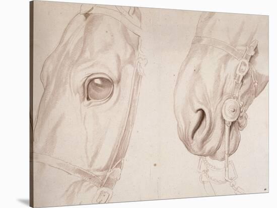 Deux études partielles d'une tête de cheval bridée-Edme Bouchardon-Stretched Canvas