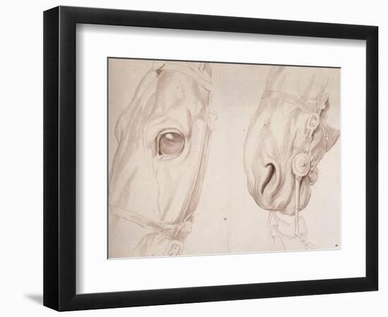 Deux études partielles d'une tête de cheval bridée-Edme Bouchardon-Framed Giclee Print