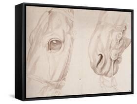 Deux études partielles d'une tête de cheval bridée-Edme Bouchardon-Framed Stretched Canvas