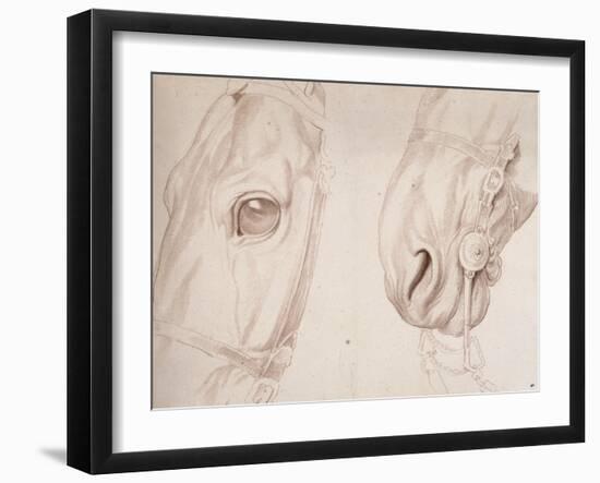 Deux études partielles d'une tête de cheval bridée-Edme Bouchardon-Framed Giclee Print