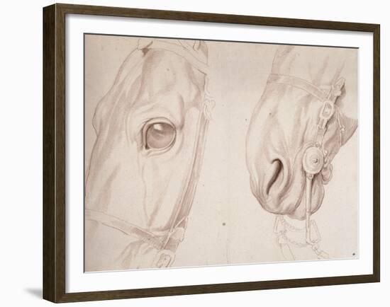 Deux études partielles d'une tête de cheval bridée-Edme Bouchardon-Framed Giclee Print