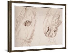 Deux études partielles d'une tête de cheval bridée-Edme Bouchardon-Framed Giclee Print