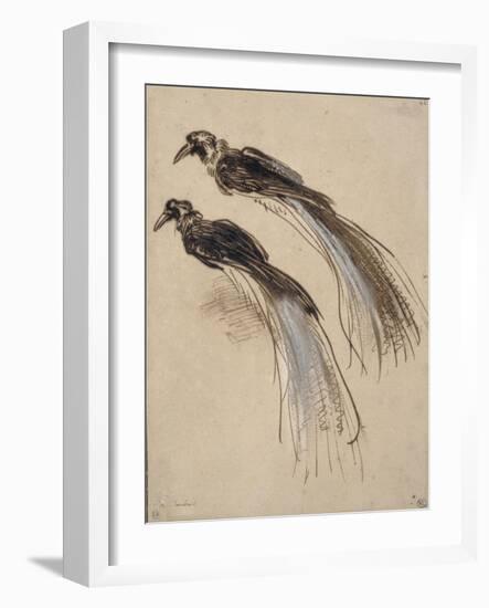 Deux études pour un oiseau de paradis-Rembrandt van Rijn-Framed Giclee Print