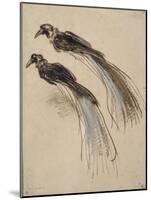 Deux études pour un oiseau de paradis-Rembrandt van Rijn-Mounted Giclee Print