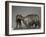 Deux lamas-Rembrandt Bugatti-Framed Giclee Print