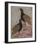 Deux perdrix sur des rochers-null-Framed Giclee Print