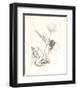 Deux roses-Avigdor Arikha-Framed Collectable Print