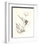 Deux roses-Avigdor Arikha-Framed Collectable Print