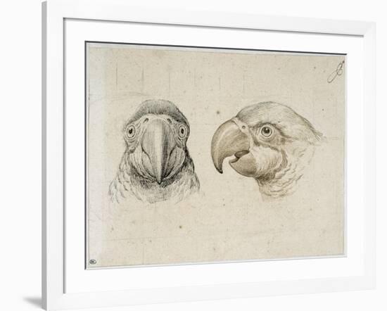 Deux t?s de perroquets-Charles Le Brun-Framed Giclee Print