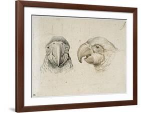 Deux t?s de perroquets-Charles Le Brun-Framed Giclee Print