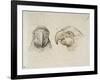 Deux t?s de perroquets-Charles Le Brun-Framed Giclee Print