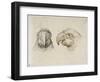 Deux t?s de perroquets-Charles Le Brun-Framed Giclee Print