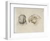 Deux t?s de perroquets-Charles Le Brun-Framed Giclee Print