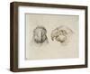 Deux t?s de perroquets-Charles Le Brun-Framed Premium Giclee Print