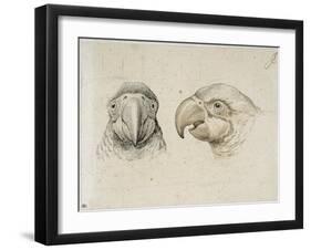 Deux t?s de perroquets-Charles Le Brun-Framed Giclee Print