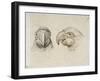 Deux t?s de perroquets-Charles Le Brun-Framed Giclee Print