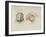 Deux t?s de perroquets-Charles Le Brun-Framed Giclee Print