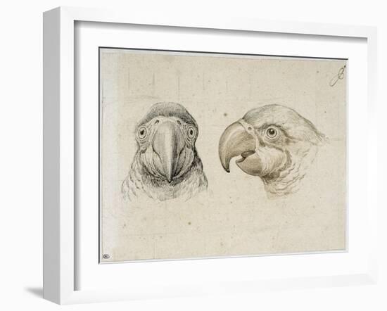 Deux t?s de perroquets-Charles Le Brun-Framed Giclee Print