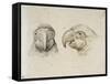 Deux t?s de perroquets-Charles Le Brun-Framed Stretched Canvas