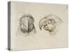 Deux t?s de perroquets-Charles Le Brun-Stretched Canvas