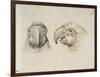 Deux t?s de perroquets-Charles Le Brun-Framed Giclee Print