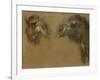 Deux têtes de dromadaires-Pieter Boel-Framed Giclee Print